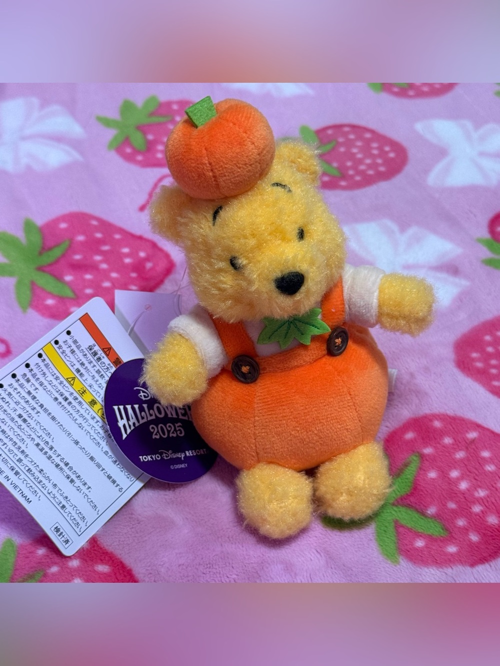 Tokyo Disney Resort Halloween Winnie the Pooh Pumpkin Plush Keychain Japan - Picture 7 of 8